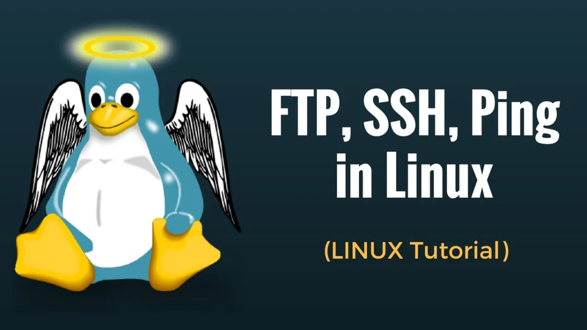 Sunucu Yönetimi İçin Temel SSH (Linux) Komutları